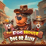 Bocoran RTP Slot Pragmatic The Dog House – Dog Or Alive